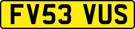 FV53VUS