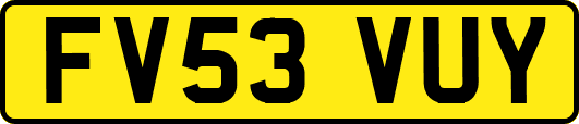 FV53VUY