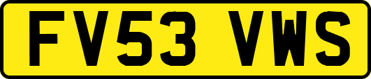 FV53VWS