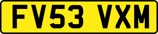 FV53VXM