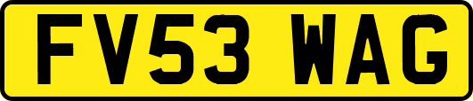 FV53WAG