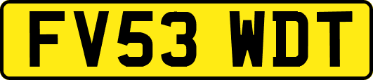 FV53WDT