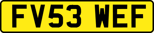 FV53WEF