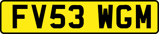 FV53WGM