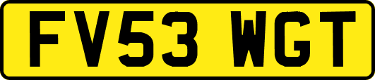 FV53WGT