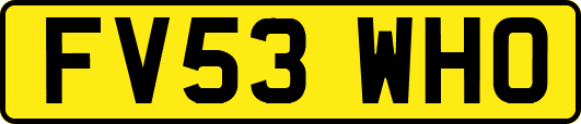 FV53WHO