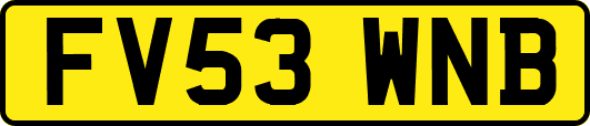 FV53WNB