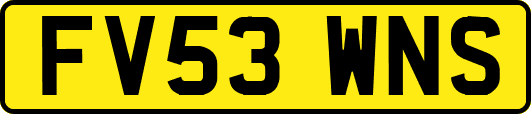 FV53WNS