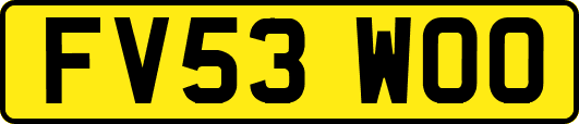 FV53WOO
