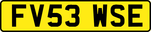 FV53WSE