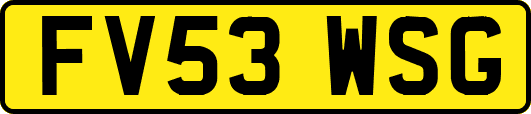 FV53WSG