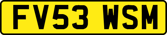 FV53WSM
