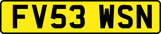 FV53WSN