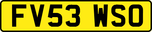 FV53WSO