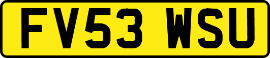 FV53WSU