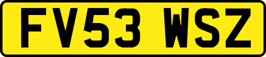 FV53WSZ