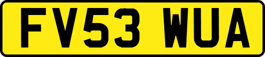 FV53WUA