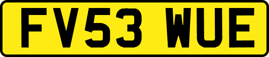 FV53WUE