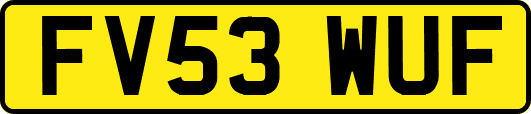 FV53WUF