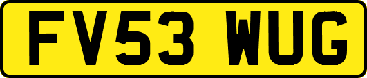 FV53WUG