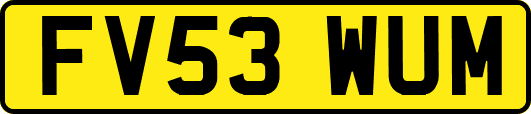 FV53WUM