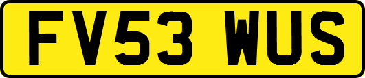 FV53WUS