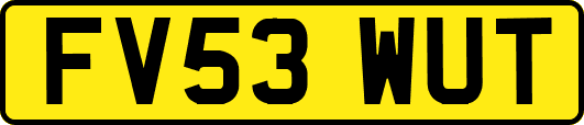 FV53WUT