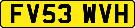 FV53WVH