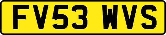 FV53WVS