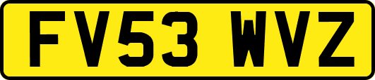 FV53WVZ