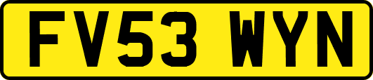 FV53WYN