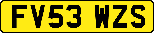 FV53WZS