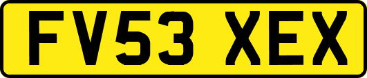 FV53XEX