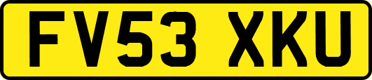 FV53XKU