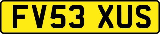 FV53XUS