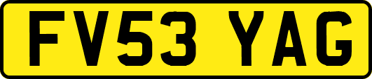 FV53YAG