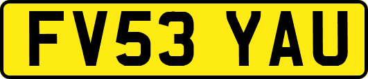 FV53YAU