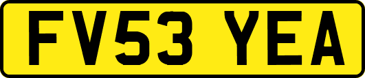 FV53YEA