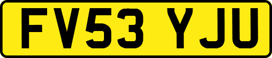 FV53YJU