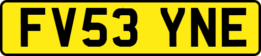 FV53YNE