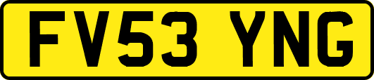 FV53YNG