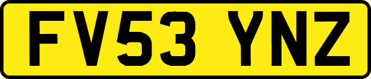 FV53YNZ