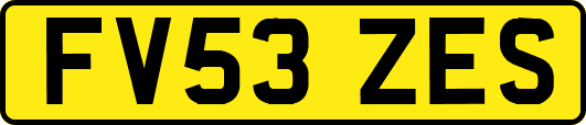 FV53ZES