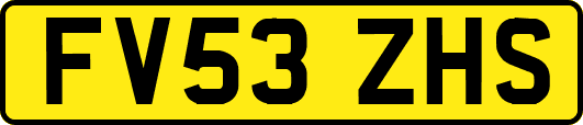 FV53ZHS