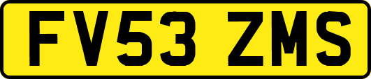 FV53ZMS