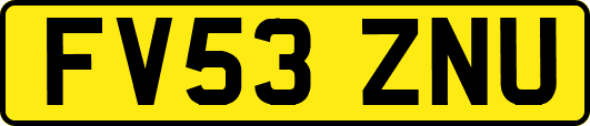 FV53ZNU