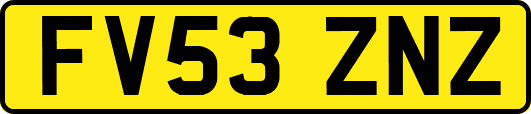 FV53ZNZ