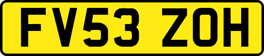 FV53ZOH