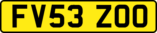 FV53ZOO