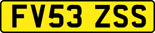 FV53ZSS